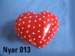 Nyar-013