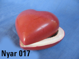Nyar-17