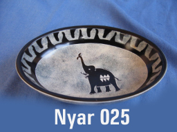 Nyar-25
